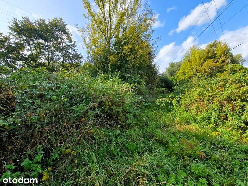 Działka budowlana o pow. 1 311m2/warunki zabudowy! - Pełny obrazek: 5/5