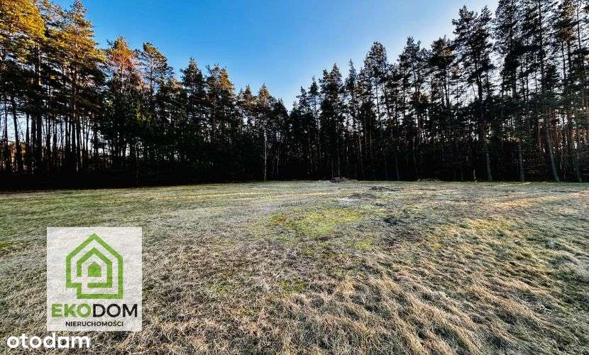 Dwie malownicze  działki pod lasem 1017 i 1957 m2 / Panoszów-15