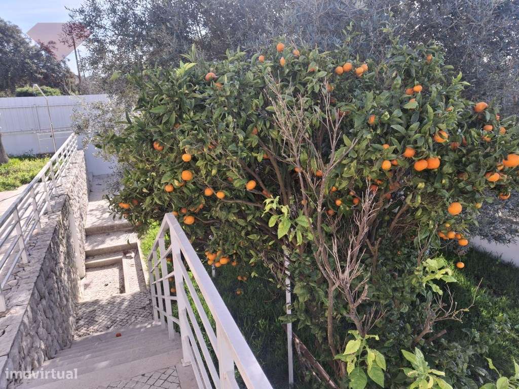 Moradia Exclusiva em Sesimbra-18