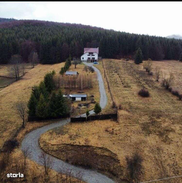 Valea Doftanei - casa + teren 7500mp - 295000 Euro - Imagine principală: 1/11