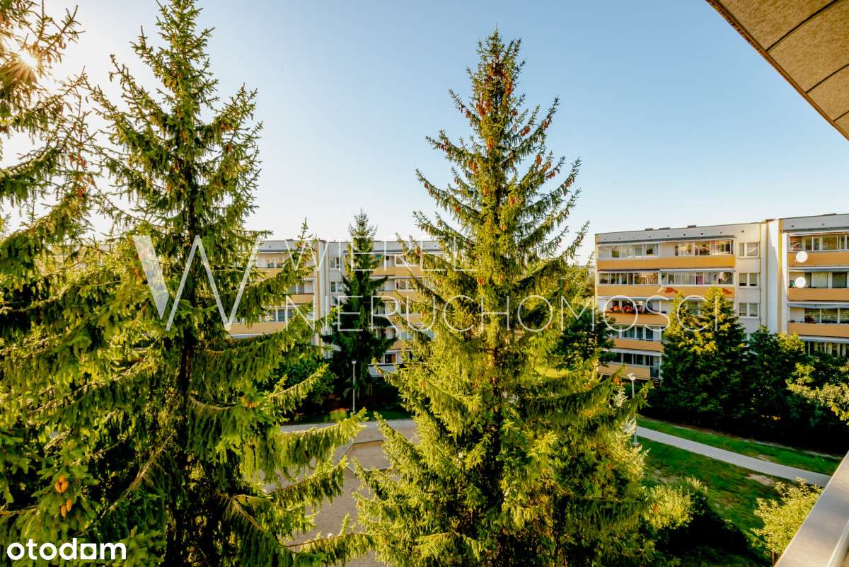 Wygodne 60m2 | duży parking | świetna lokalizacja-15