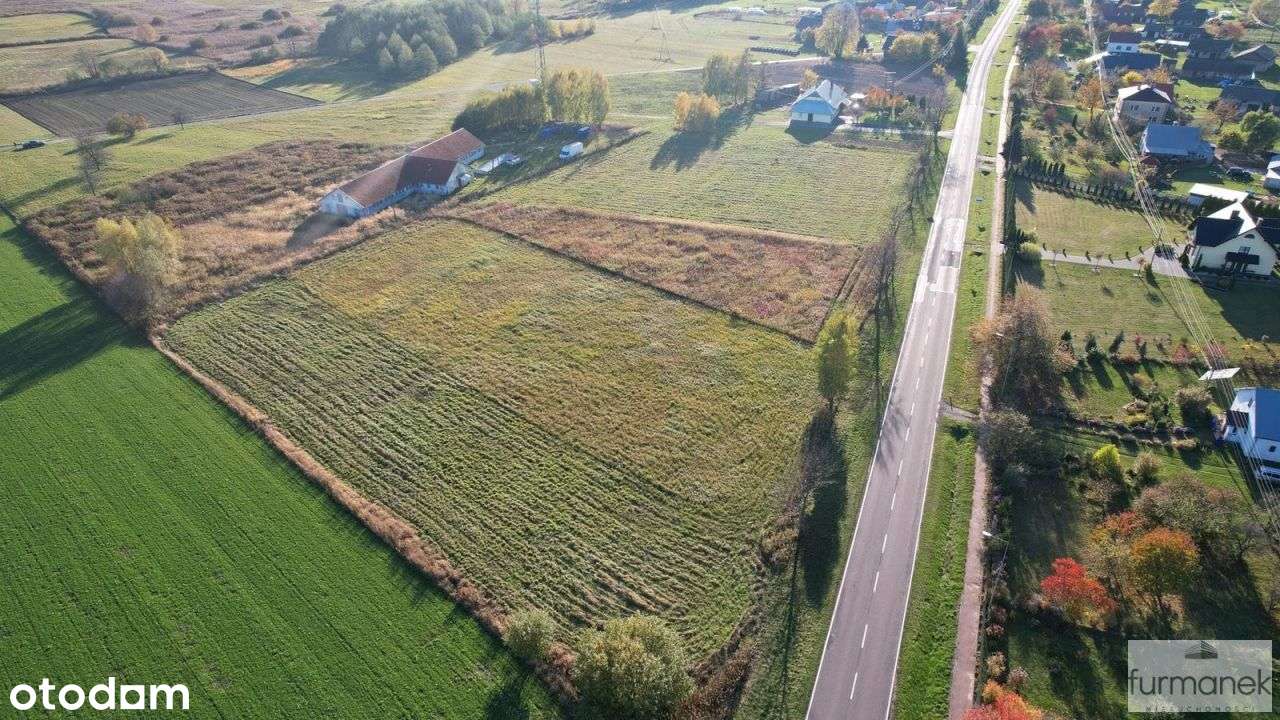 Działka usługowa na Roztoczu przy drodze krajowej - Pełny obrazek: 5/20