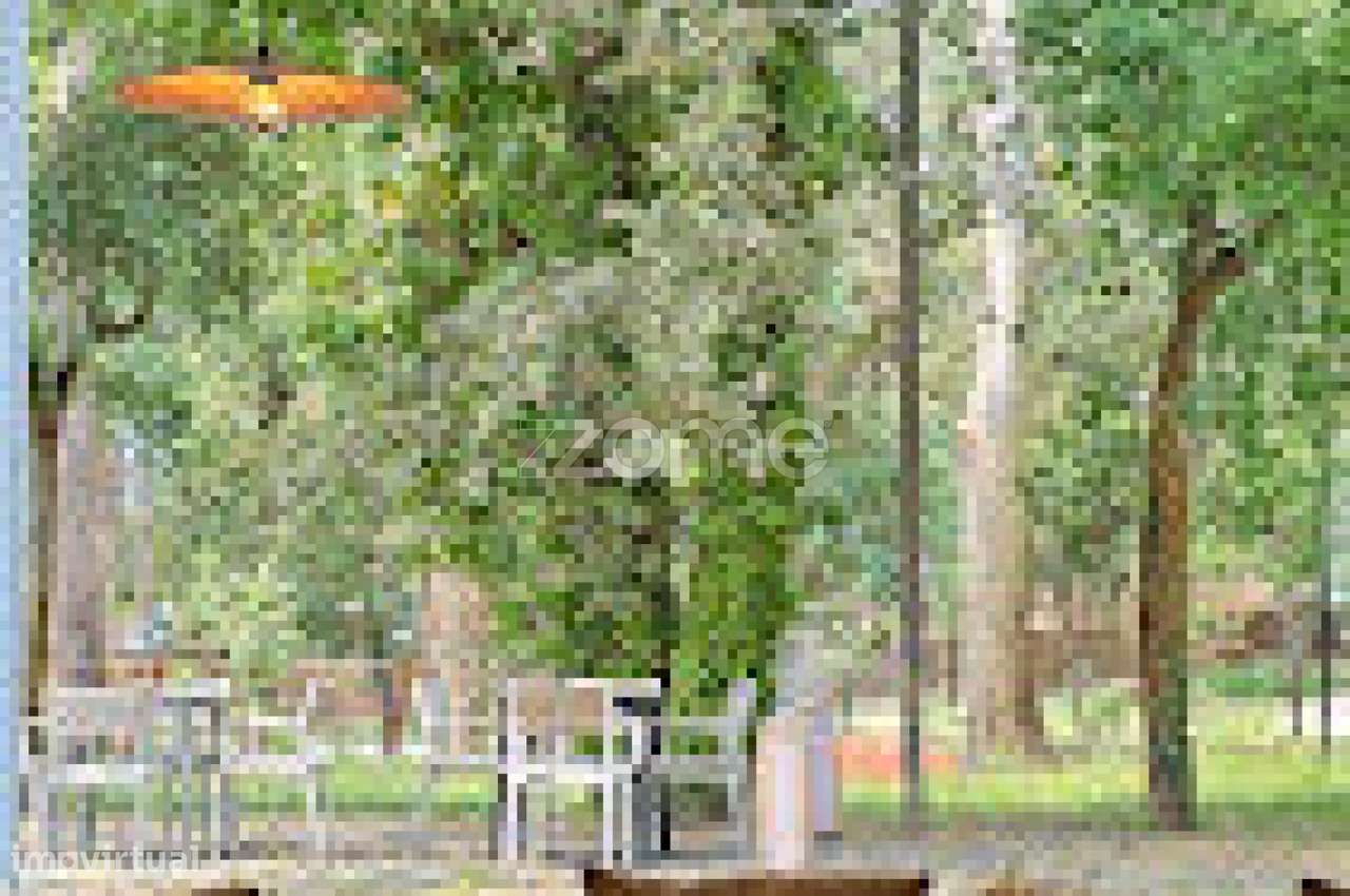 Snack-Bar Pronto a Funcionar na Maia - Grande imagem: 2/21