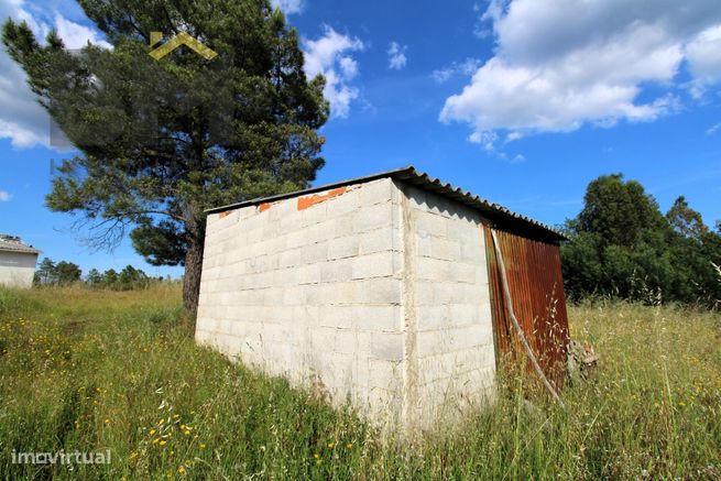 Quinta T1 Venda em Salgueiro do Campo,Castelo Branco-25