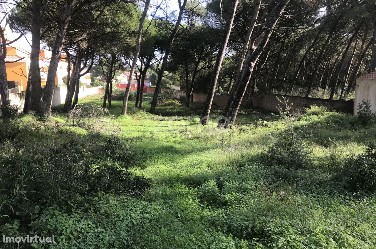 Terreno urbano com 4 520 m2 em Aldeia de Juzo