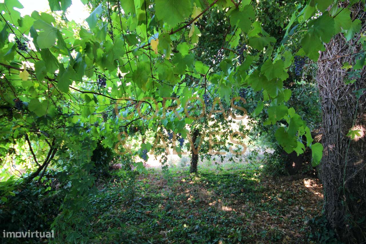 MORADIA GONDIZALVES - 2 ARTIGOS-6