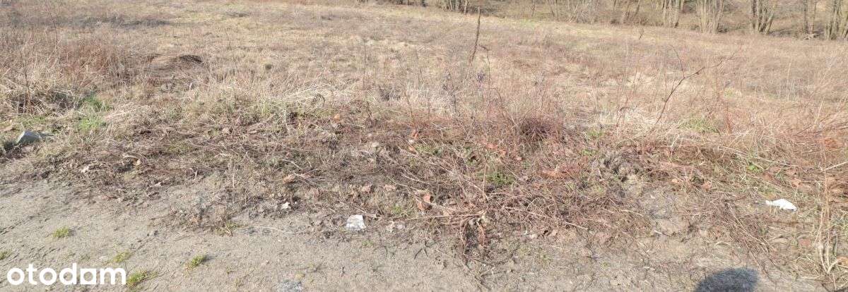 Działka położona na granicy Matemblewa i Moreny-0