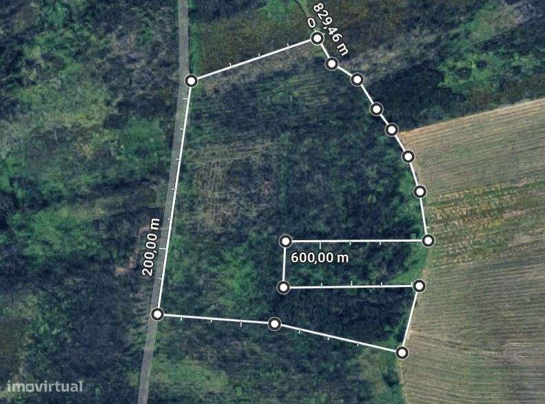 Terreno Agro-Florestal com 21.062 m² | Pedreira – Ouca | Vagos-6