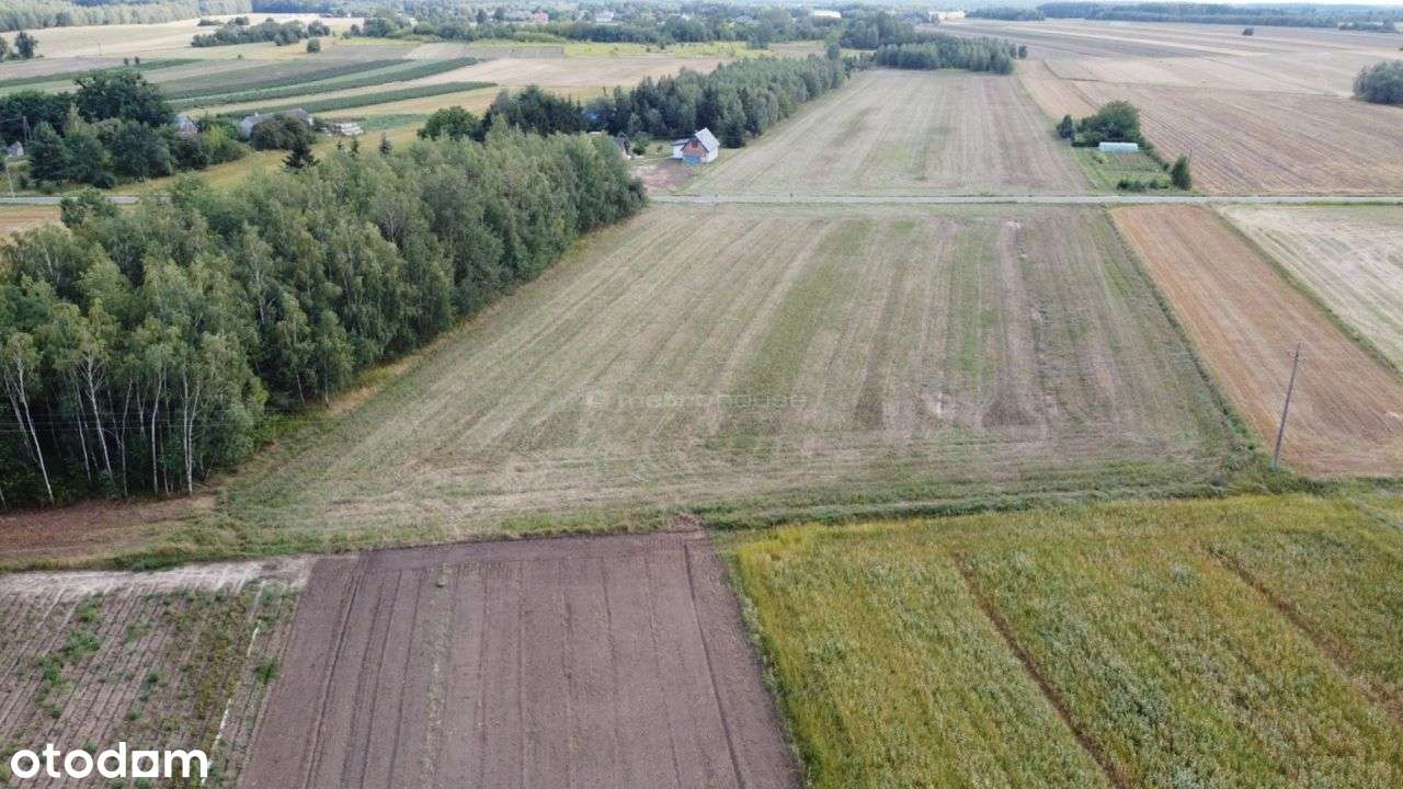 Wyjątkowa działka w niesamowicie niskiej cenie! - Pełny obrazek: 3/6