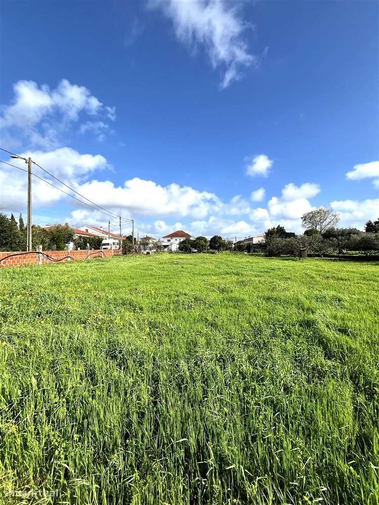 Terreno Para Construção  Venda em Vendas Novas,Vendas Novas-5