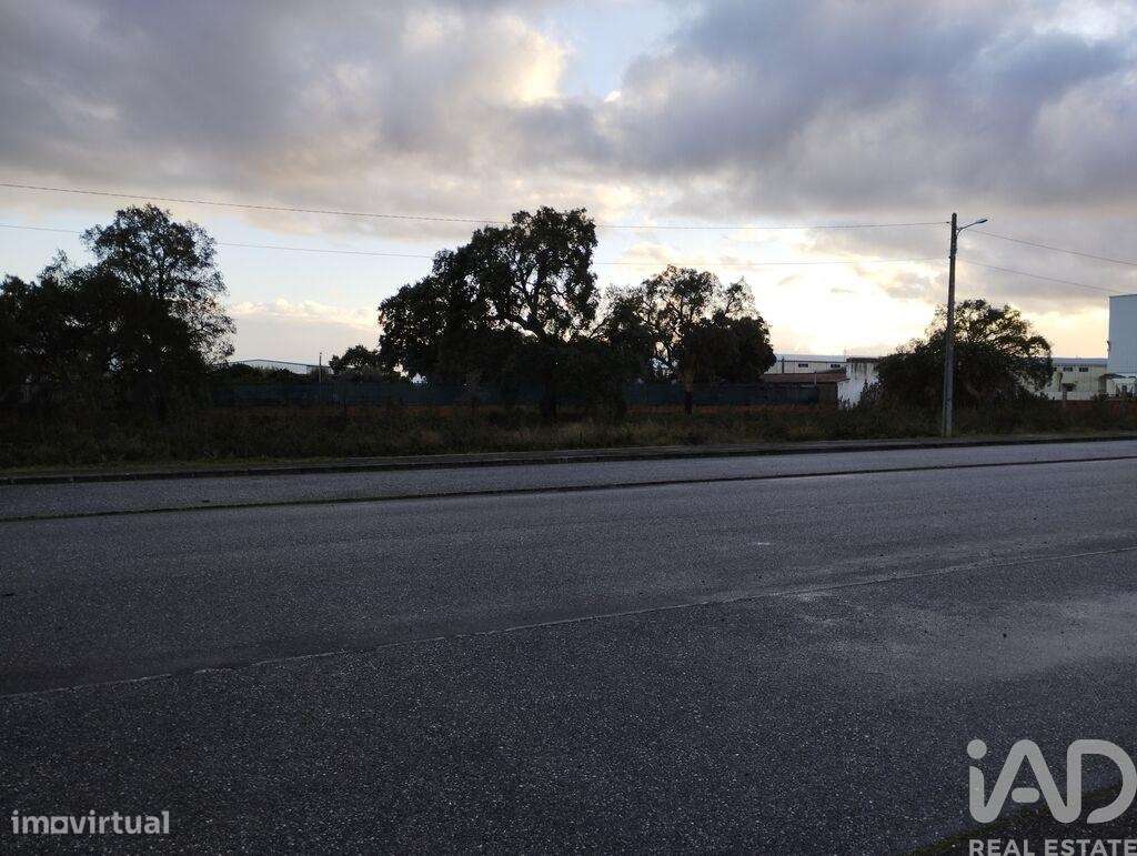 Terreno em Ponte de Sor, Tramaga e Vale de Açor de 3346,00 m2 - Grande imagem: 5/7