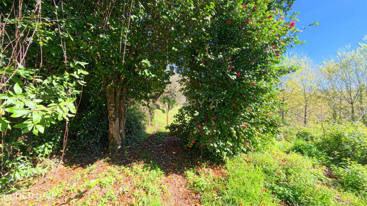 Propriedade para recuperação em Viseu-12