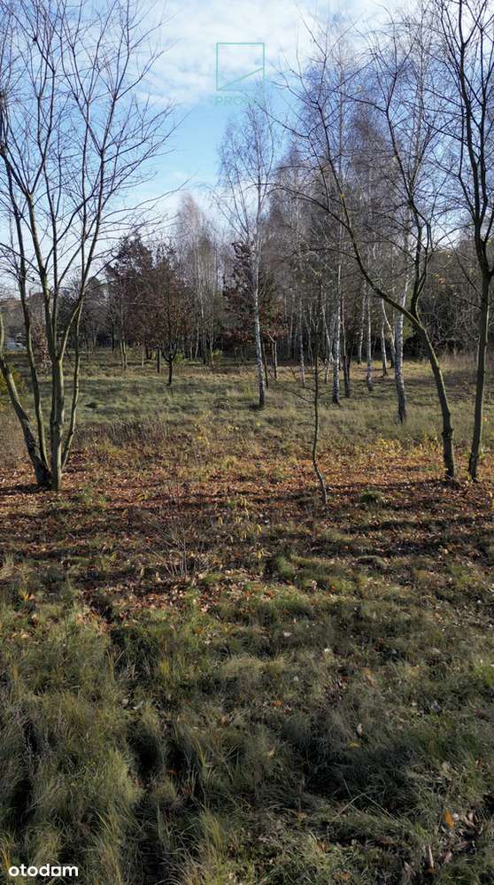 Na sprzedaż działka w letniskowej miejscowości!-5