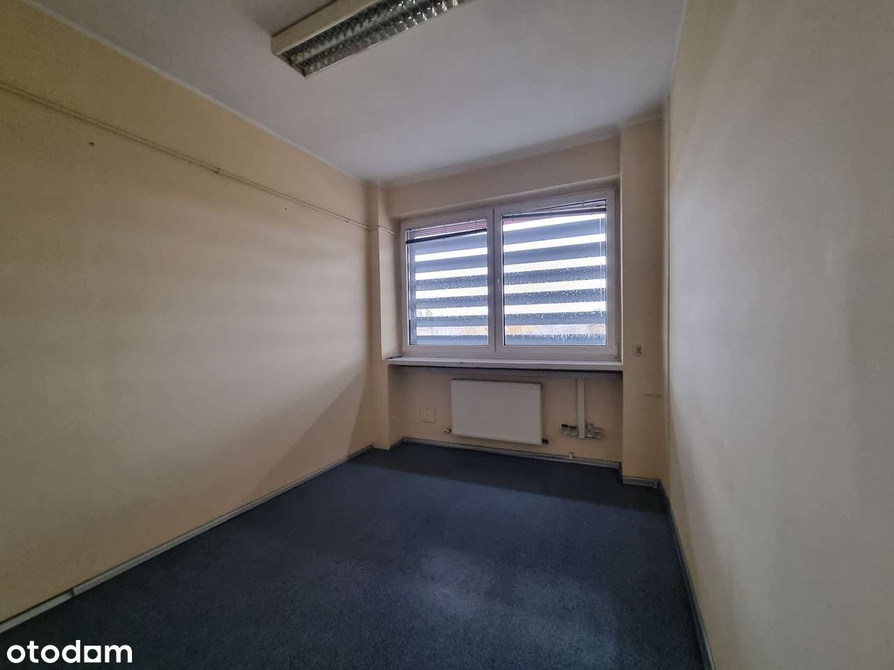 Zabrze, biurowiec Elzab, pod biuro, usługi, inne - Pełny obrazek: 2/10