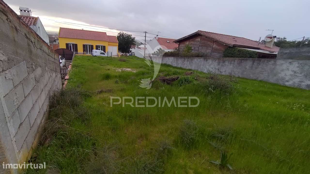 Terreno Urbano 317 m2 - Carregueira - Chamusca - Grande imagem: 5/7