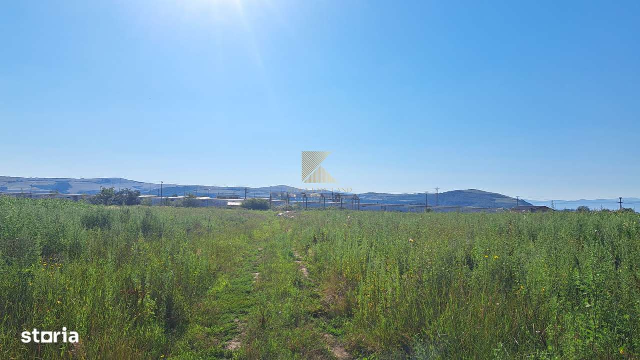 Posibilitate RATE | Teren Bod | curti constructii | utilitati | PUZ,-14