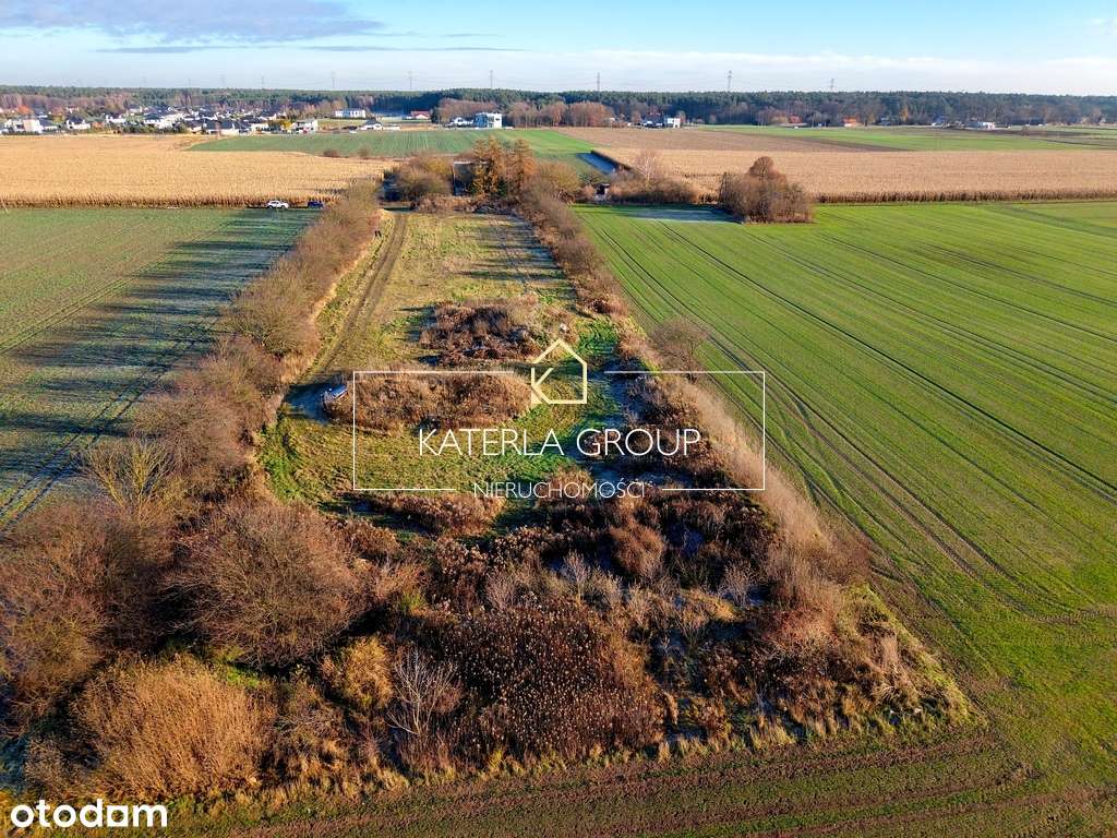 Działka Inwestycyjna 6500 m2 Osielsko - Pełny obrazek: 2/4