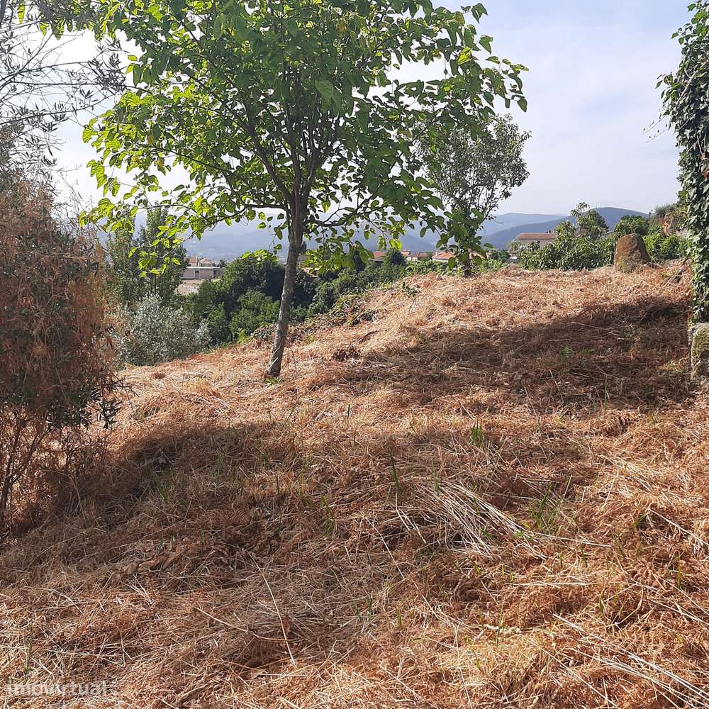 Casa em pedra para reconstruir Canelas Penafiel-26