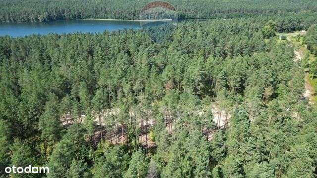 Działki budowlane z Mpzp - Pełny obrazek: 5/9