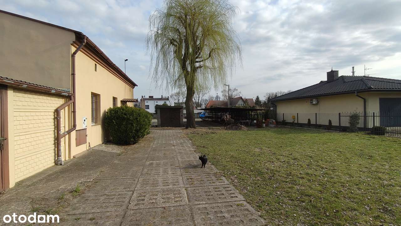 Utwardzony plac 2190 m² z biurem i wiatami – Centrum - Pełny obrazek: 4/14