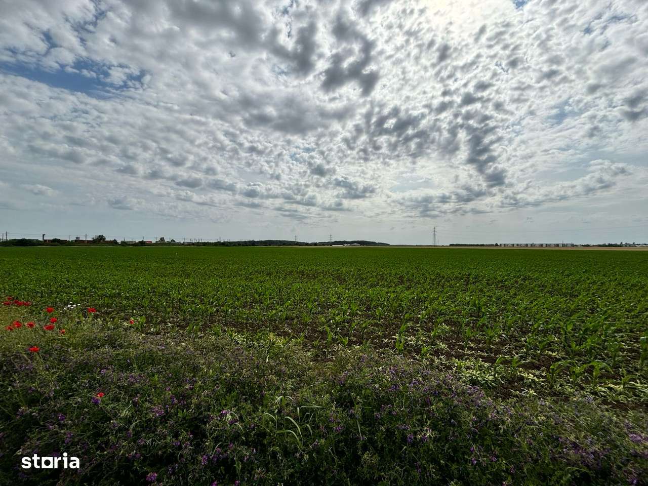 Dobroesti - Dragonul Roșu/Gara Pantelimon - 15.000 m.p. teren - Imagine principală: 4/4