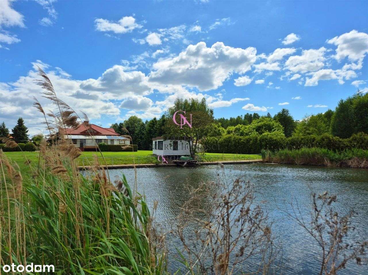 Stan do wprowadzenia, działka 8000m, własny staw - Pełny obrazek: 4/20