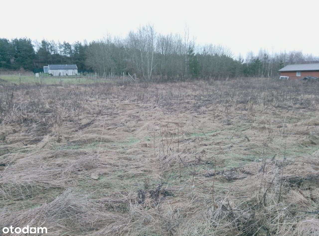 Działka budowlano-rekreacyjna - Pełny obrazek: 5/6