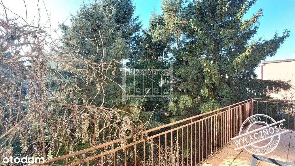 Zielony dom tonący w zieleni-17