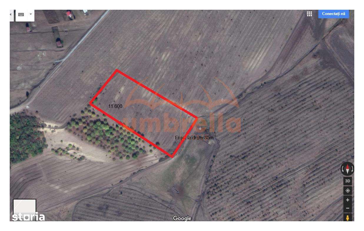 Teren de vanzare 11,600m²6€ m² in Campenesti, langa lacul 1 - Imagine principală: 3/5