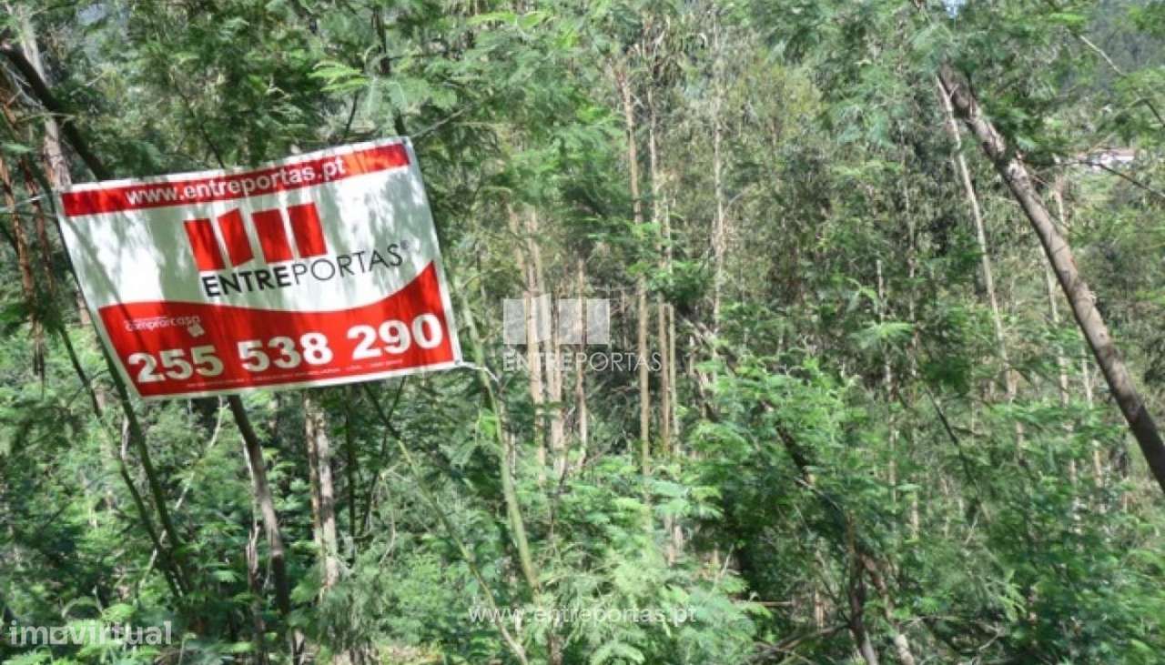 Venda Terreno, Ancede, Baião - Grande imagem: 4/9