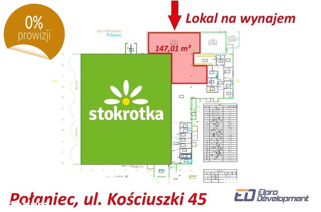 Lokal: Połaniec / świętokrzyskie / ul. Kościuszki