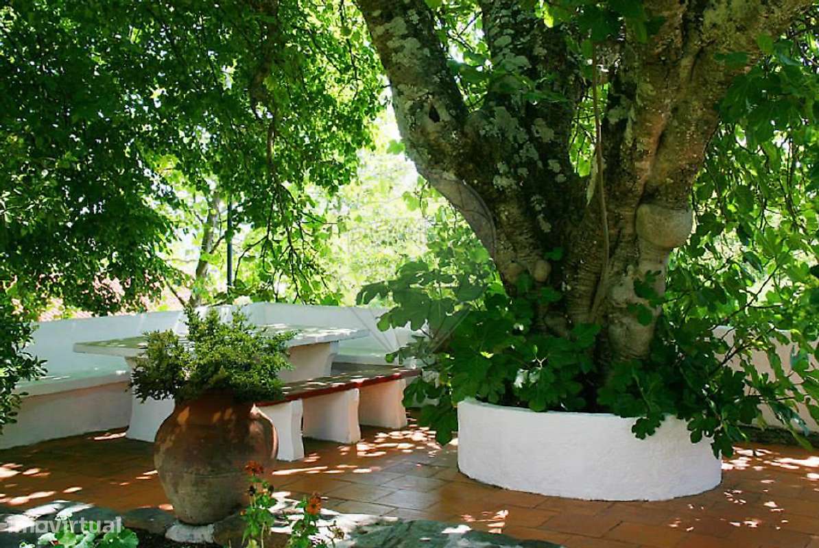 Palacete T10 para venda-17