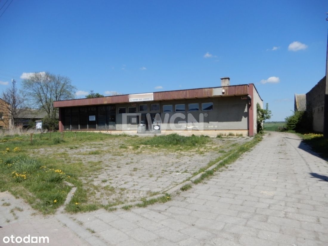 Lokal użytkowy, 250 m², Zarębice