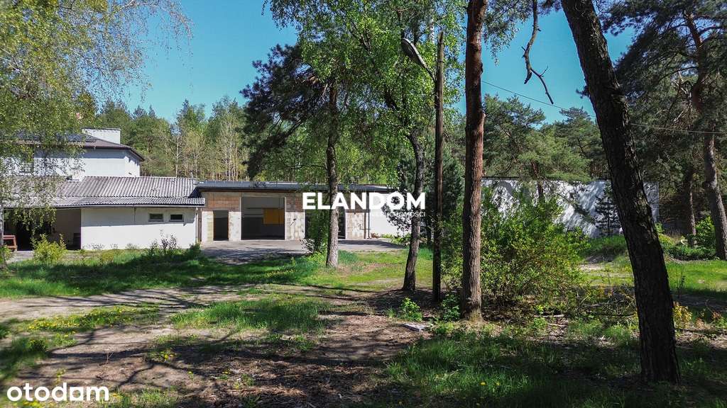 Idealna  działka budowlano-inwestycyjna - Pełny obrazek: 2/6