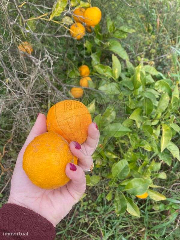 Terreno  para venda - Grande imagem: 2/9