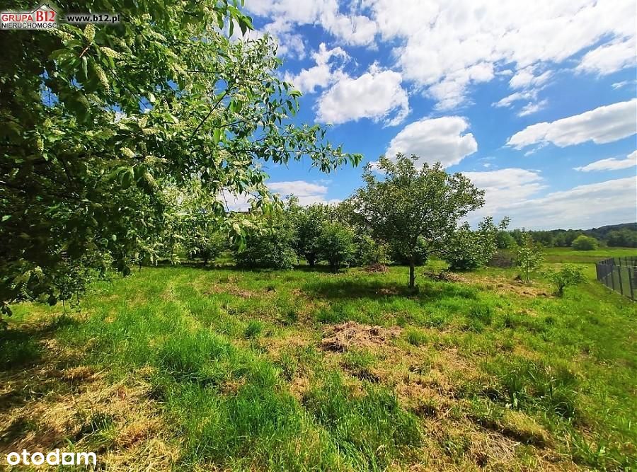 Działka, 2 800 m², Janowice