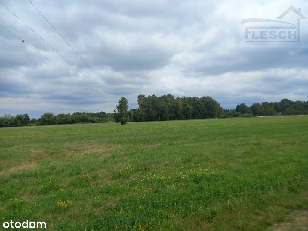 Działka budowlana 2681 Młochów - Pełny obrazek: 5/7