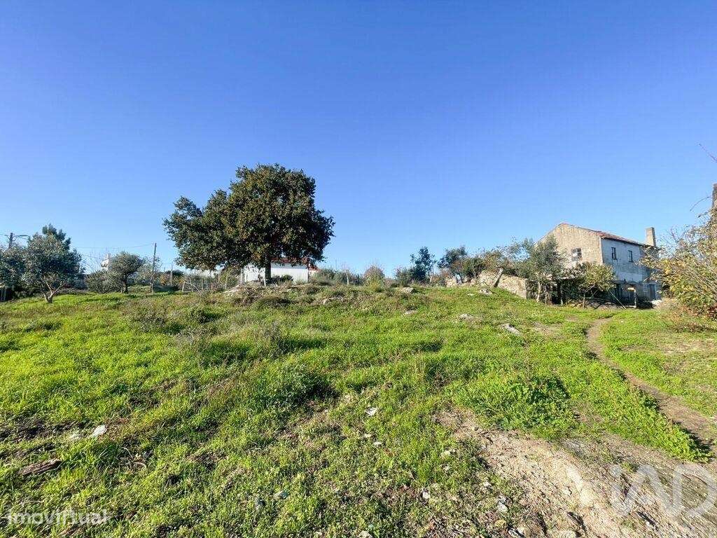 Terreno em Povolide de 8415,00 m2 - Grande imagem: 2/15