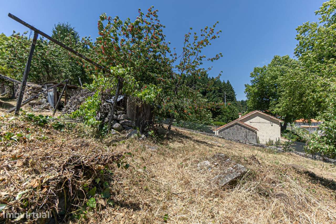 Quinta 7.438 m² em Lamego, Moradia em Pedra, Investimento de Futuro-15