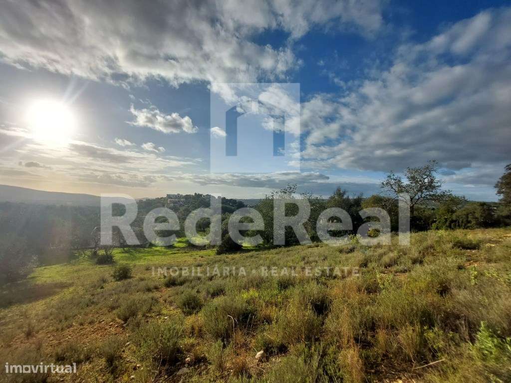 Terreno rústico com 6160m2 nos Gorjões - Grande imagem: 3/10
