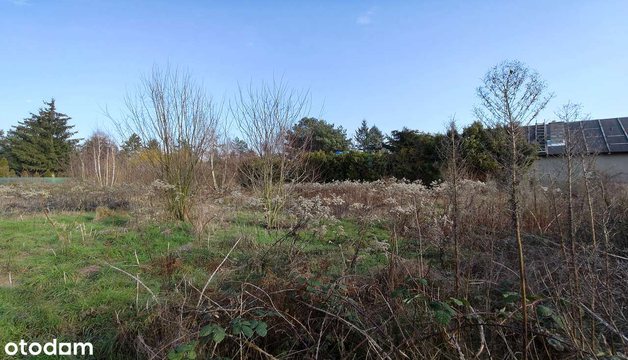 Działka pod zabudowę, blisko jeziora. - Pełny obrazek: 4/12