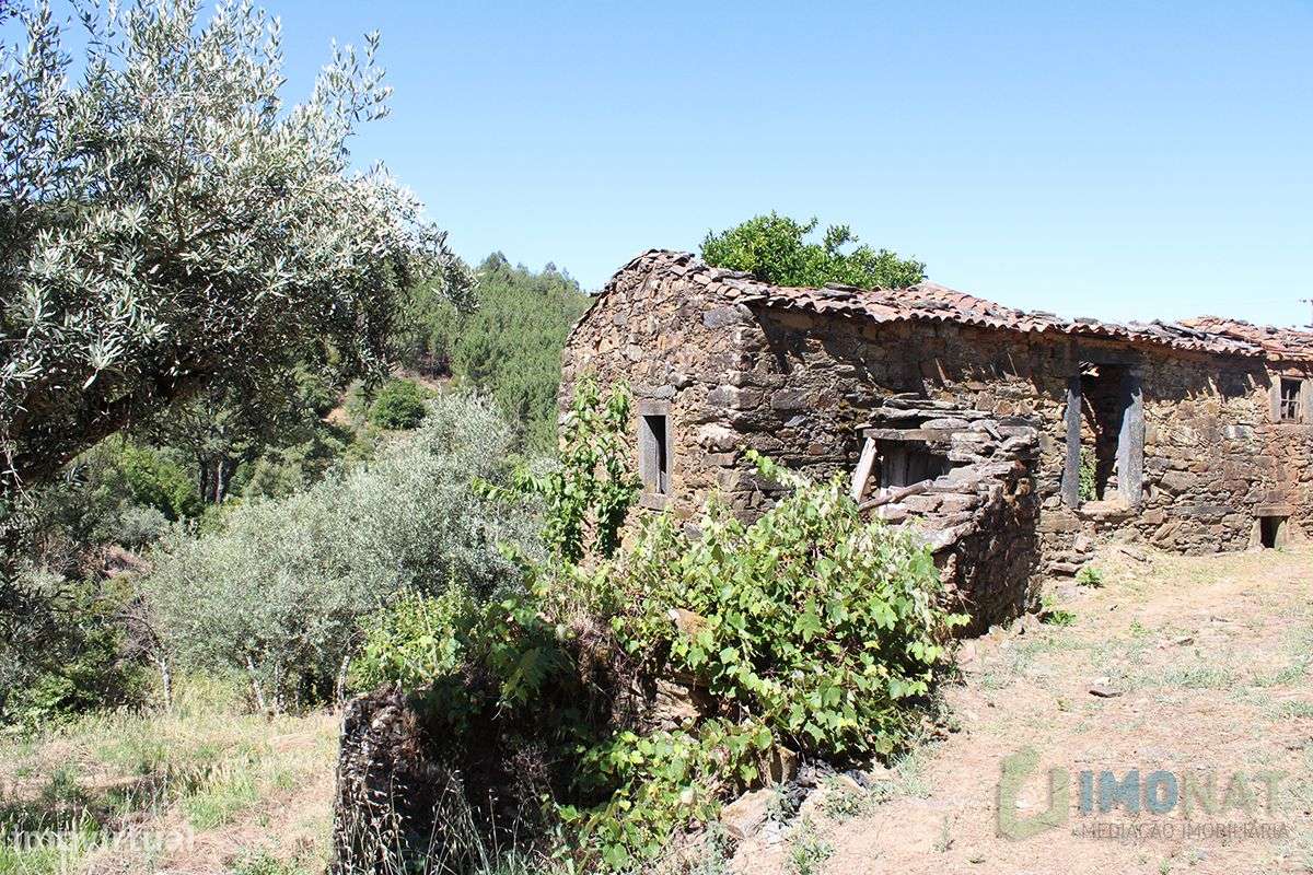 Imóvel Rural - Grande imagem: 2/32