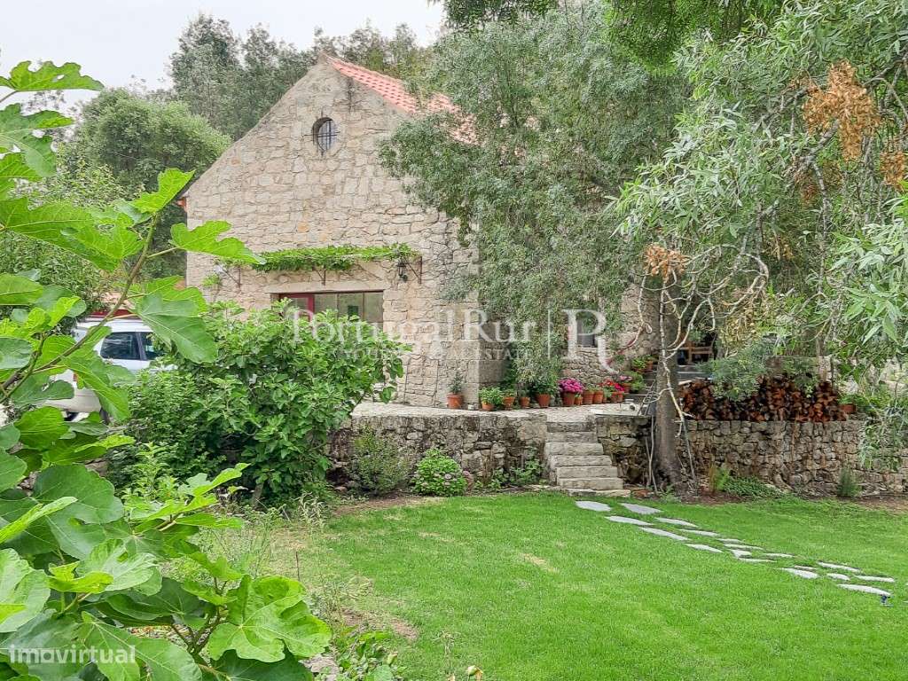 Quinta Rural 8.000 m2 - 2 Casas Habitáveis - confina com Ribeira-22