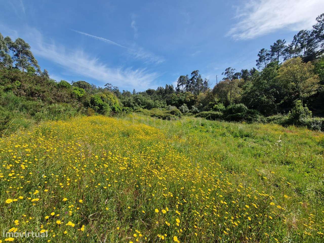 Terreno para venda em Ansião - Grande imagem: 3/10