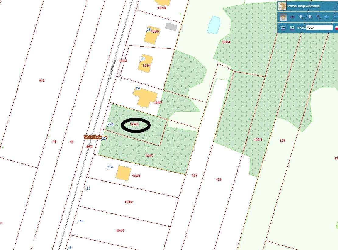 Okolice Stróży . NOWA Niższa Cena !!! WOLA RAKOWA-2