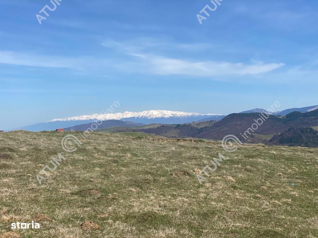 Teren intravilan 6000 mp cu utilitati in Paltinis judet Sibiu