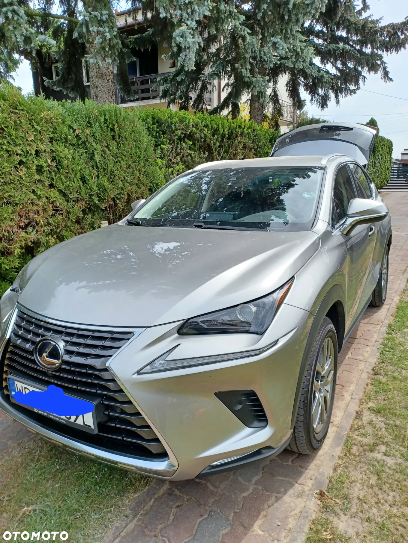 Lexus NX - 15