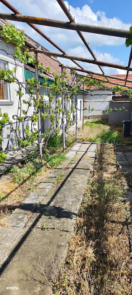 Casa individuala cu 3 camere , curte proprie, pod ,pivnita, Blaj-Hula-3