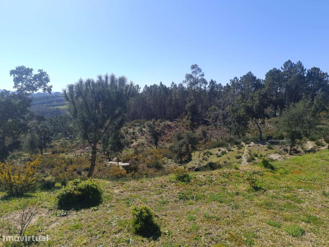 Moradia de Luxo para Arrendamento | 20.000 m² de Exclusividade-30