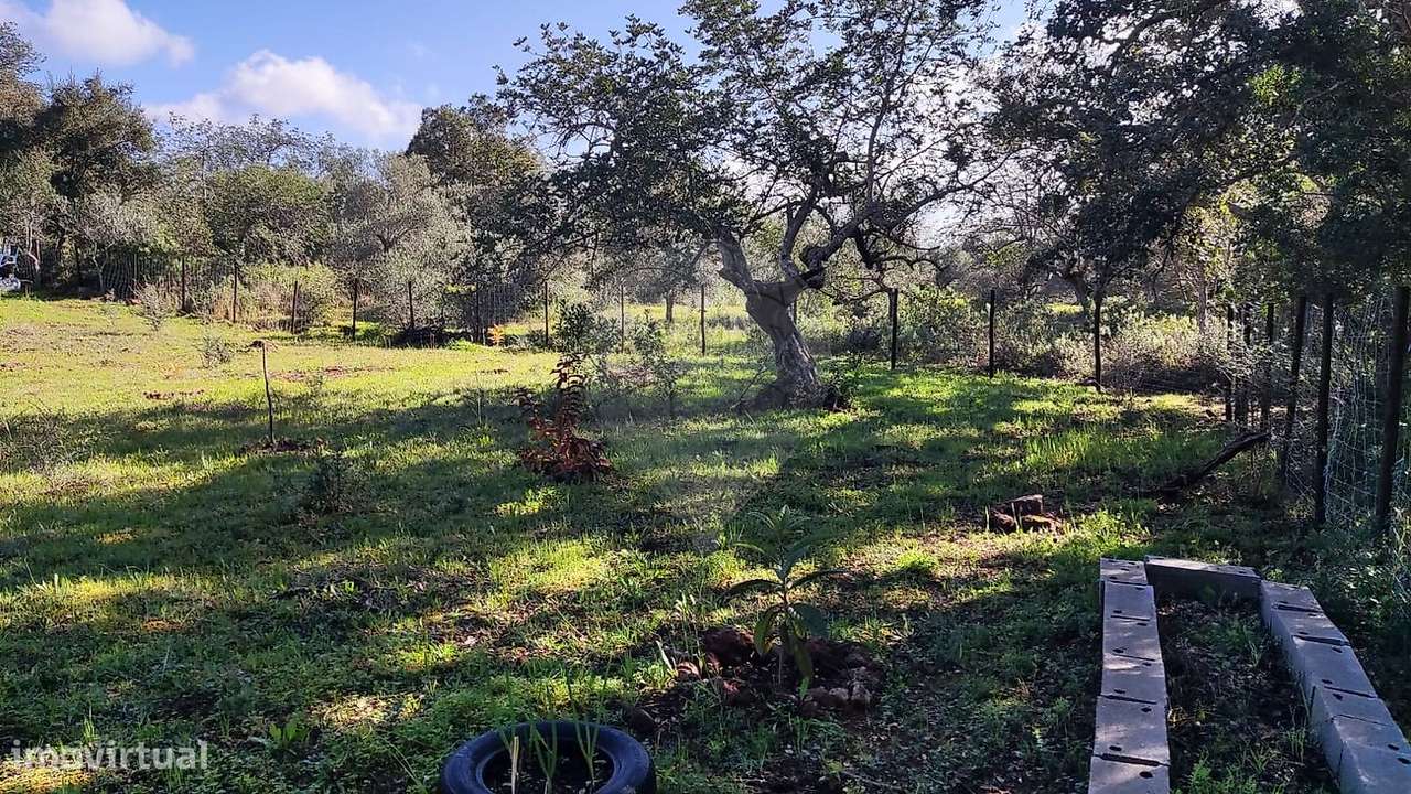 Terreno  para venda - Grande imagem: 4/7